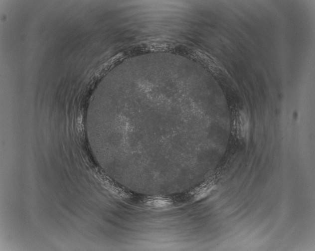X0000067940610200604201407