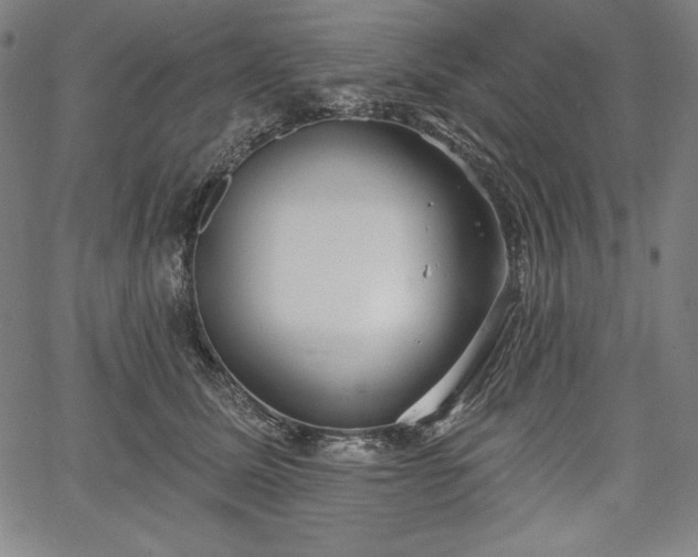 X0000067940611200604201407