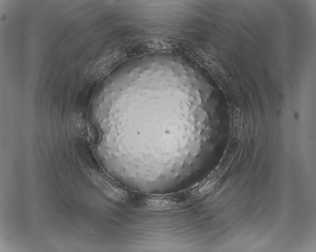 X0000067940614200604201407