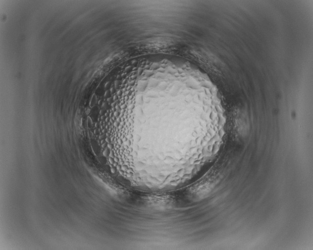 X0000067940615200604201407