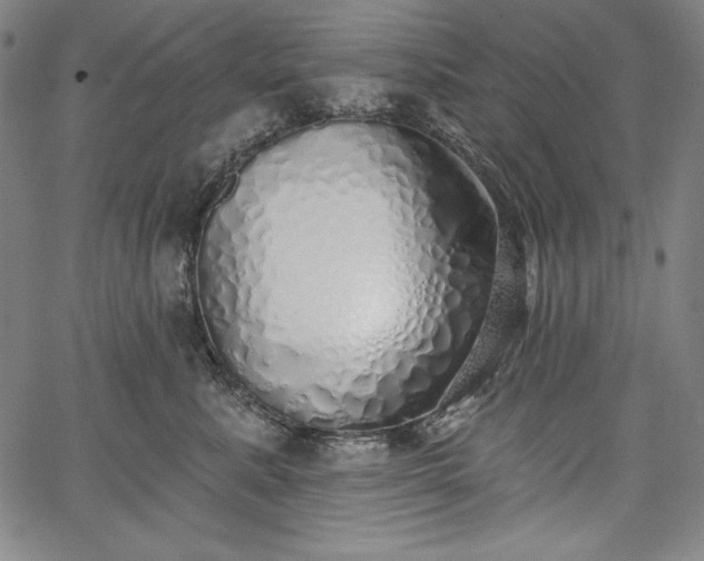 X0000067940619200604201407