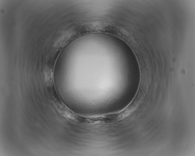 X0000067940624200604201407