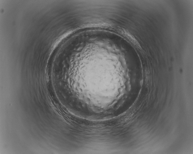 X0000067940628200604201406