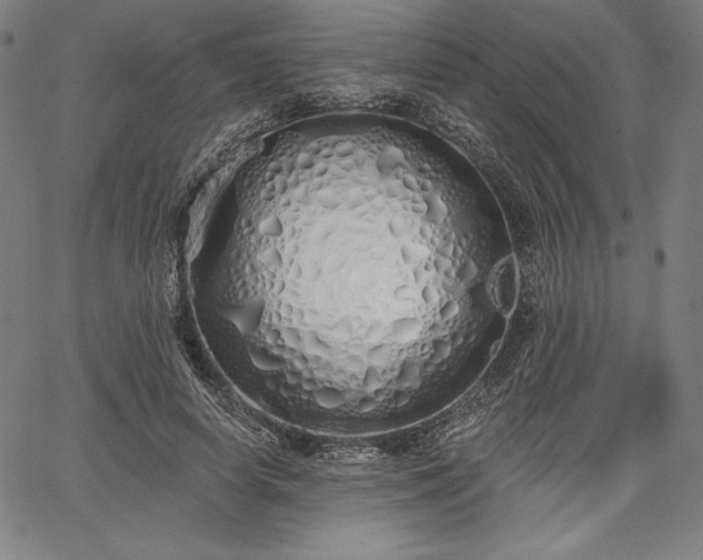 X0000067940642200604201406