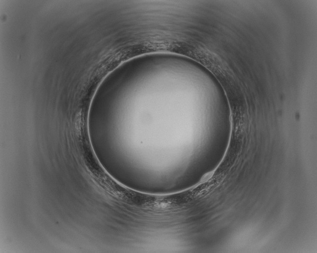 X0000067940647200604201407
