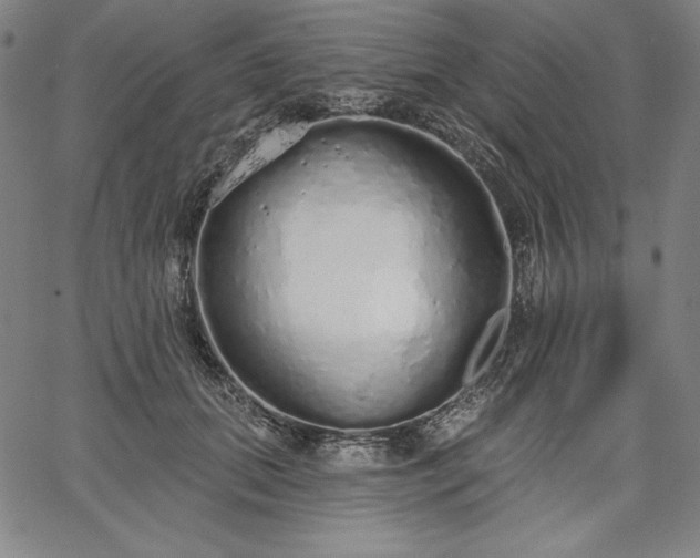 X0000067940655200604201407