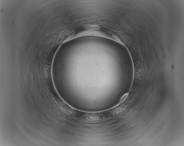 X0000067940658200604201407