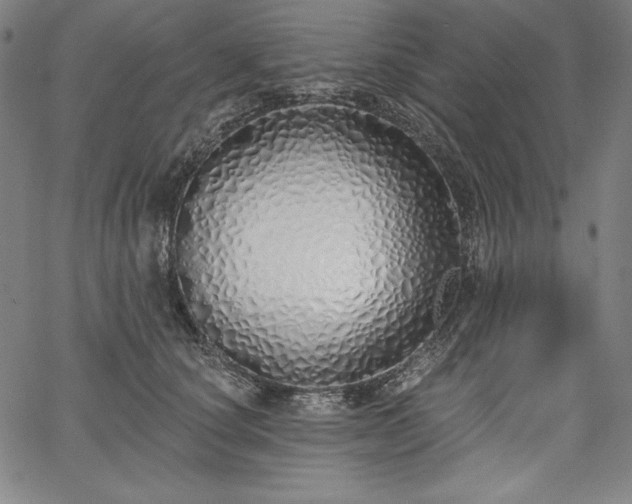 X0000067940660200604201407