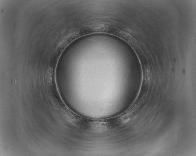 X0000067940664200604201407