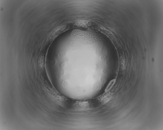 X0000067940665200604201407