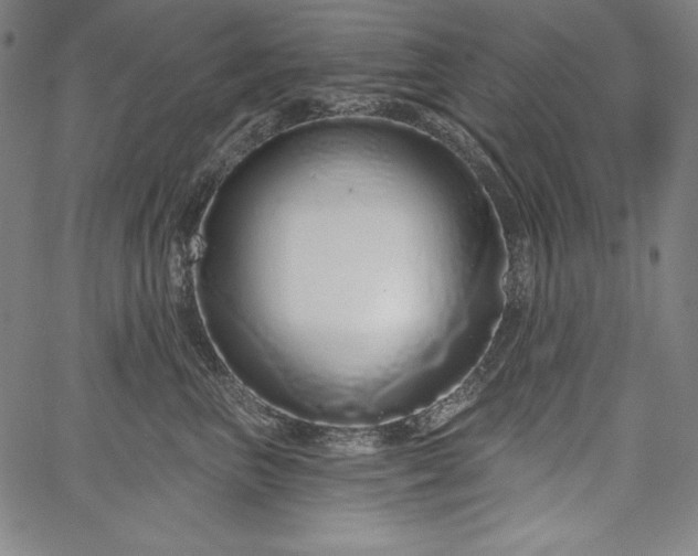 X0000067940667200604201407