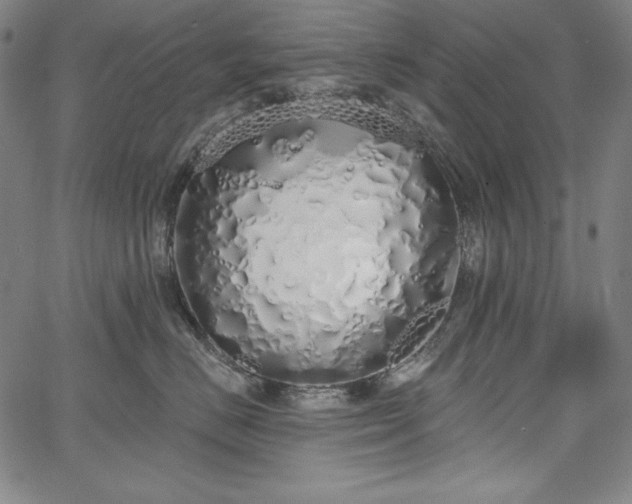 X0000067940670200604201407