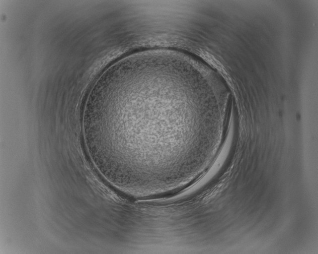 X0000067940673200604201406