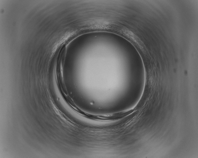 X0000067940677200604201406
