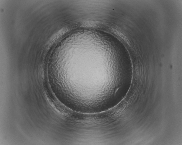 X0000067940682200604201406