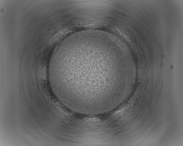 X0000067940689200604201406