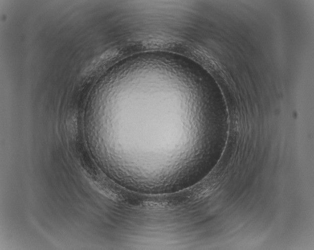 X0000067940690200604201406