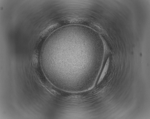 X0000067940691200604201406