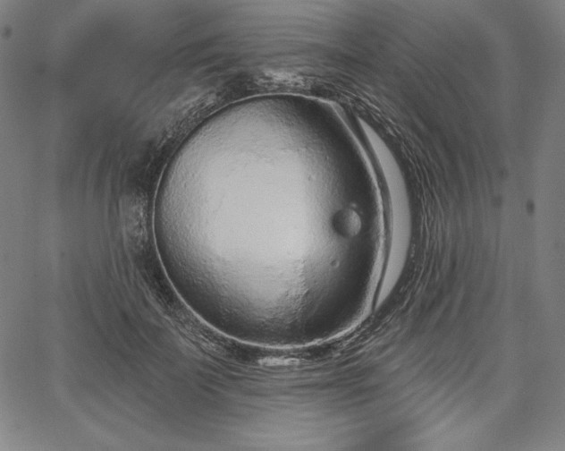 X0000067940699200604201406
