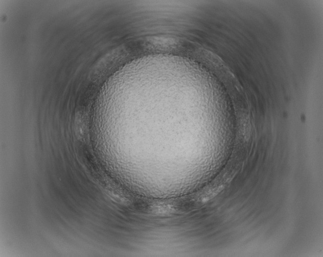 X0000067940701200604201406