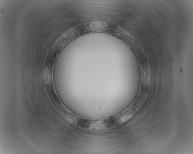 X0000067940705200604201406