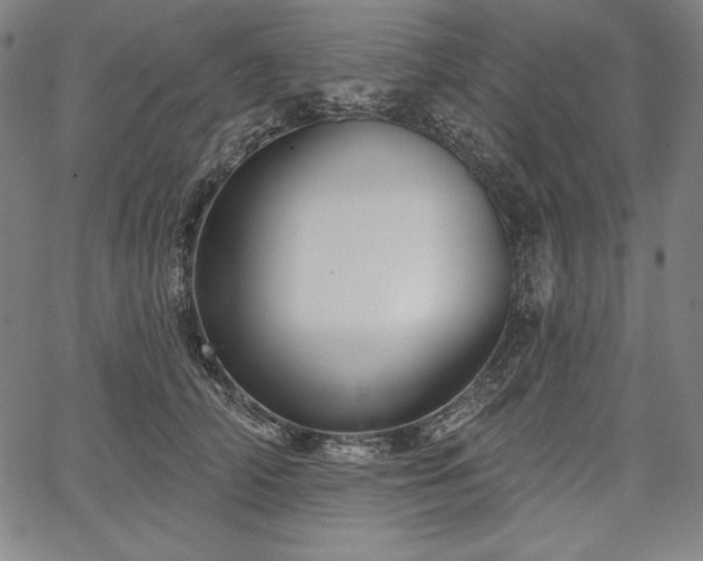 X0000067940706200604201406