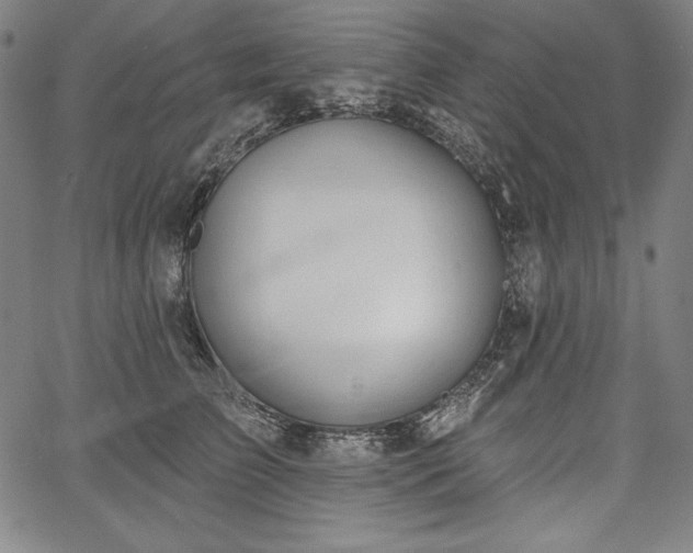 X0000067940709200604201406