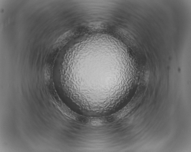 X0000067940710200604201406
