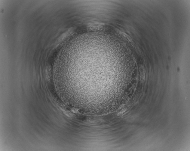 X0000067940712200604201406