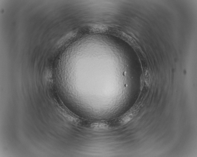 X0000067940714200604201405
