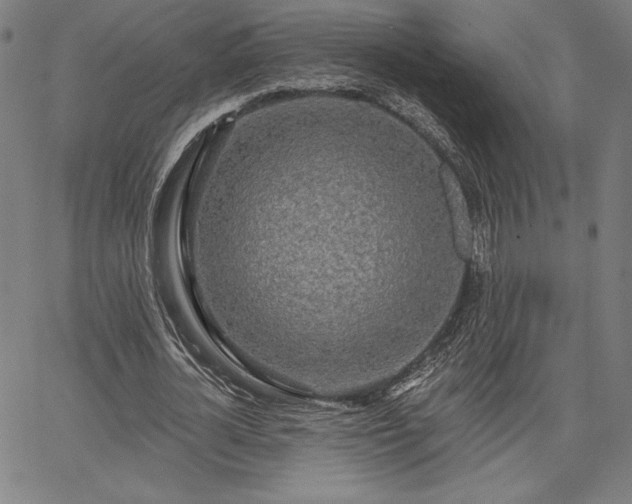 X0000067940724200604201405