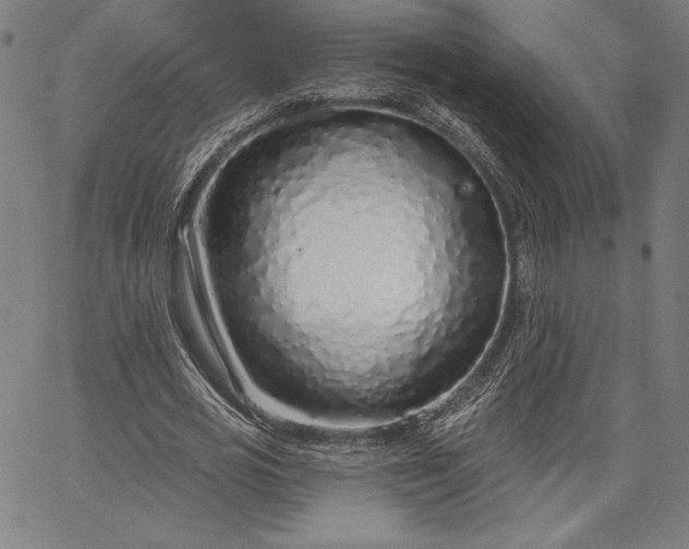 X0000067940725200604201405