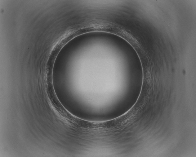 X0000067940730200604201405