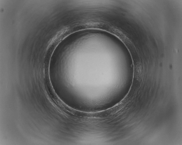 X0000067940734200604201405