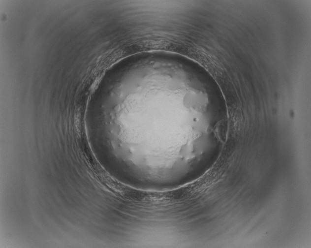 X0000067940745200604201405