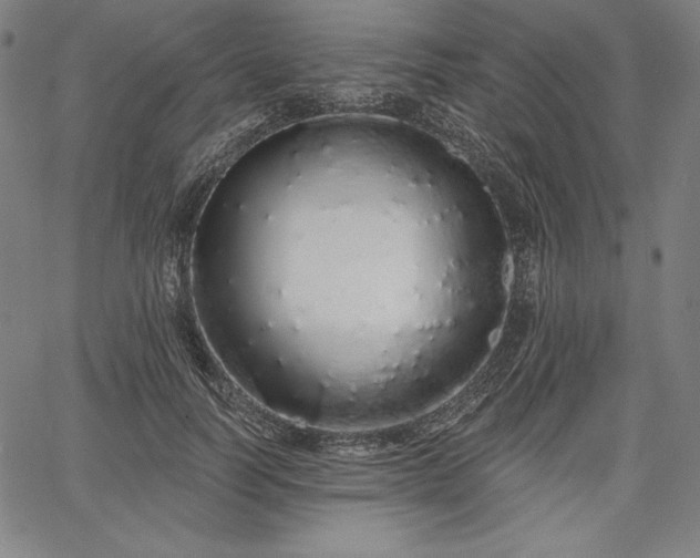 X0000067940746200604201405