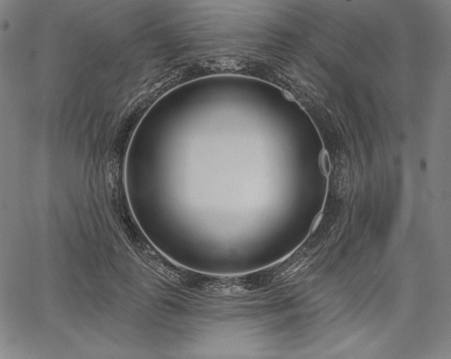 X0000067940747200604201405