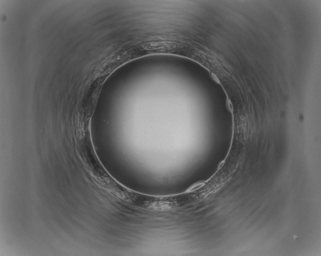 X0000067940751200604201405