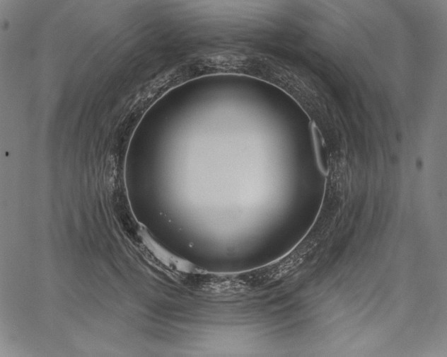 X0000067940752200604201405