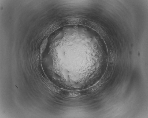 X0000067940753200604201405