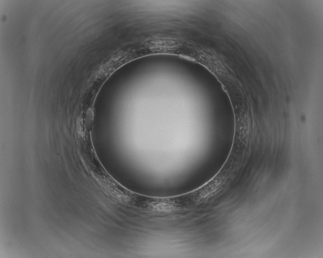 X0000067940755200604201405
