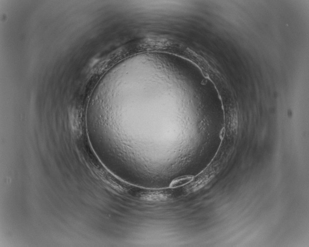 X0000067940759200604201405