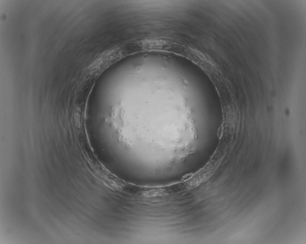 X0000067940761200604201405