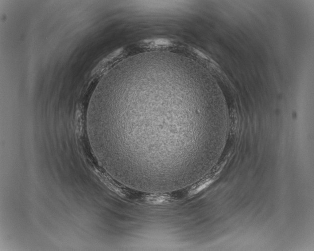 X0000067940762200604201405