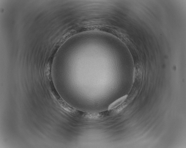 X0000067940767200604201405