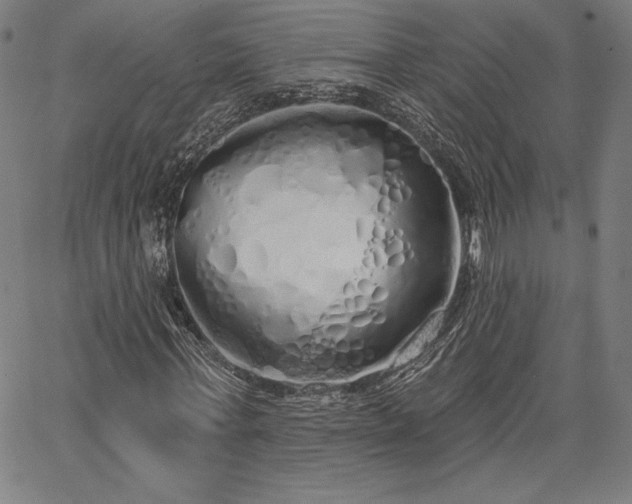 X0000067940771200604201405