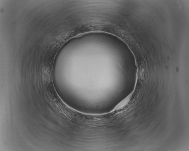 X0000067940772200604201405