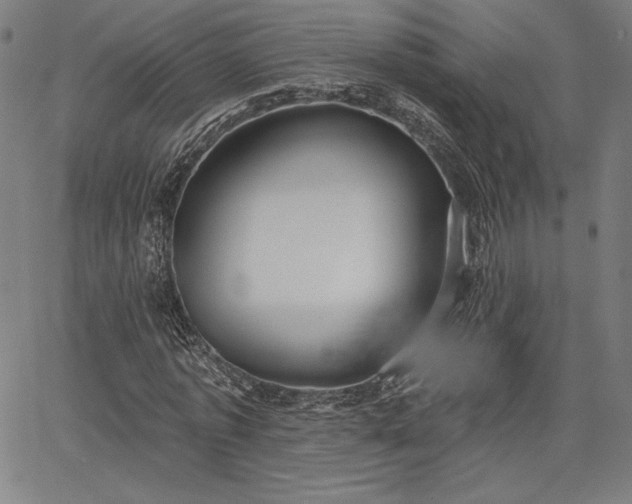 X0000067940773200604201404