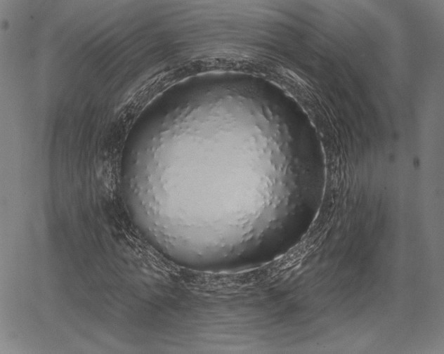 X0000067940774200604201404