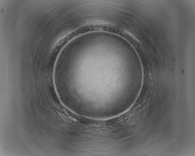 X0000067940775200604201404
